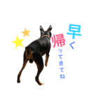 ホップくん！（個別スタンプ：5）