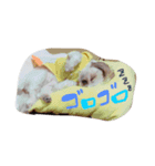 犬スタンプです（個別スタンプ：8）