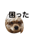 うじゃに☆（個別スタンプ：3）