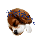 うじゃに☆（個別スタンプ：4）
