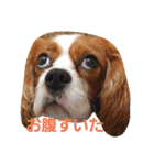 うじゃに☆（個別スタンプ：6）