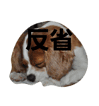 うじゃに☆（個別スタンプ：10）