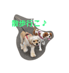 うじゃに☆（個別スタンプ：15）