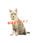 デビだぜっ！（個別スタンプ：1）