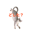 デビだぜっ！（個別スタンプ：3）