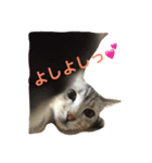 デビだぜっ！（個別スタンプ：4）