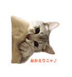 デビだぜっ！（個別スタンプ：6）