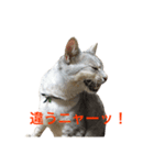デビだぜっ！（個別スタンプ：9）