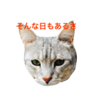 デビだぜっ！（個別スタンプ：10）