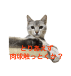 デビだぜっ！（個別スタンプ：13）