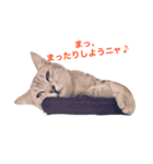 デビだぜっ！（個別スタンプ：14）