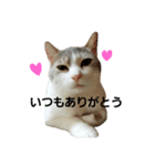 つぶみるつきスタンプ4（個別スタンプ：10）