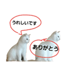 つぶみるつきスタンプ4（個別スタンプ：11）