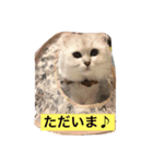 ミャウの日常（個別スタンプ：4）