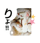 ミャーたん2 使える日常会話編（個別スタンプ：13）
