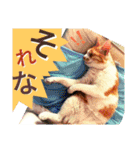 ミャーたん2 使える日常会話編（個別スタンプ：15）