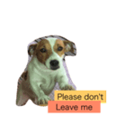 puppy need love（個別スタンプ：6）