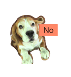 puppy need love（個別スタンプ：7）