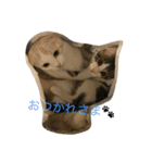レオ＆ギン2（個別スタンプ：13）