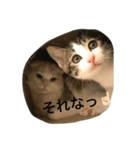 レオ＆ギン2（個別スタンプ：14）