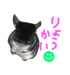 ちゅーれん（個別スタンプ：4）