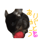 ちゅーれん（個別スタンプ：10）