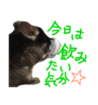 ちゅーれん（個別スタンプ：12）