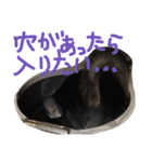 ちゅーれん（個別スタンプ：13）