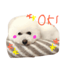 塩対応 メリー 2（個別スタンプ：3）