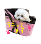 塩対応 メリー 2（個別スタンプ：4）