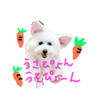 塩対応 メリー 2（個別スタンプ：5）
