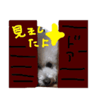 塩対応 メリー 2（個別スタンプ：9）