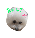 塩対応 メリー 2（個別スタンプ：10）