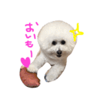 塩対応 メリー 2（個別スタンプ：14）