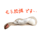 塩対応 メリー 2（個別スタンプ：15）