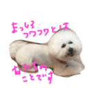 塩対応 メリー 2（個別スタンプ：16）