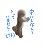 塩対応 メリー 2（個別スタンプ：19）