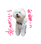 塩対応 メリー 2（個別スタンプ：20）