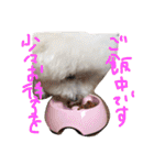 塩対応 メリー 2（個別スタンプ：31）