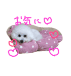 塩対応 メリー 2（個別スタンプ：34）