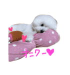 塩対応 メリー 2（個別スタンプ：39）
