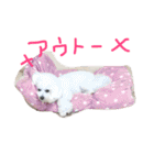 塩対応 メリー 2（個別スタンプ：40）