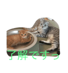 銀河と空（個別スタンプ：1）
