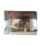 銀河と空（個別スタンプ：3）