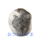 銀河と空（個別スタンプ：5）