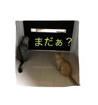 銀河と空（個別スタンプ：6）