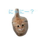 銀河と空（個別スタンプ：8）