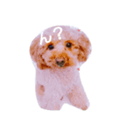 wannn（個別スタンプ：3）