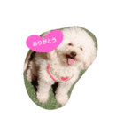 wannn（個別スタンプ：8）