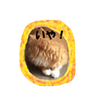 ねこのみゅ2（個別スタンプ：28）